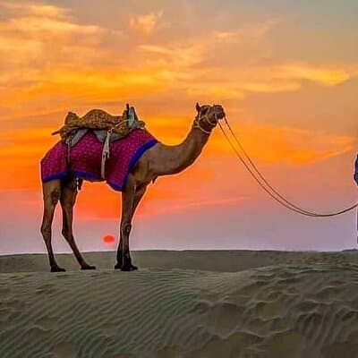 4 Hours Desert Safari 3