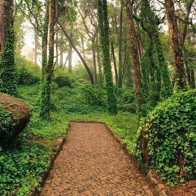Golden Triangle Private Tour (Sintra and Cascais), from Lisbon 3