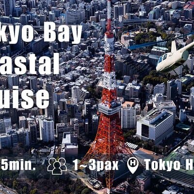 TOKYO Skytree Private Helicopter Tour (15-Min)