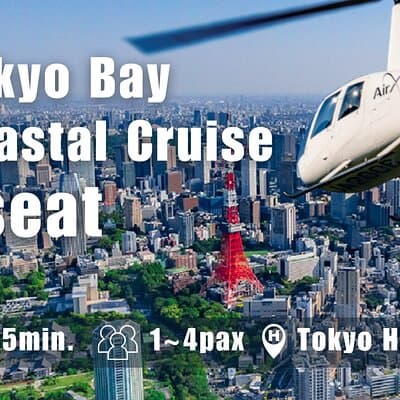 Tokyo Skytree & Tokyo Station Helicopter Tour(15-Min/4pax) 3