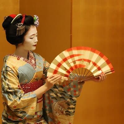 Tokyo Private Geisha Dance Show and Dinner in Shinjuku 4