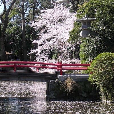 Bullet Train Experience & Mishima Shrine Private Tour from Tokyo 4