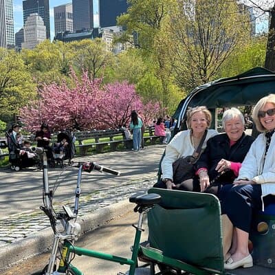 Central Park Movie Locations and Celebrity Homes Pedicab Tour 3
