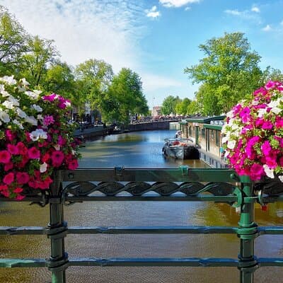 Tour with official guide in Amsterdam 3