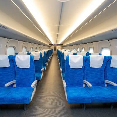 Bullet Train Experience & Mishima Shrine Private Tour from Tokyo 3