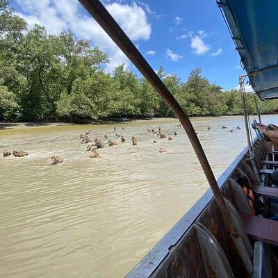 Floating & Railway Markets (Optional Mangrove Visit) Private Tour 4