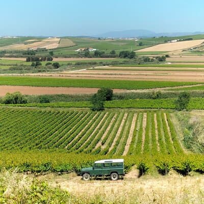 Winery, Tastings & 4x4 Vineyards Tour, Half Day Trip from Lisbon 3