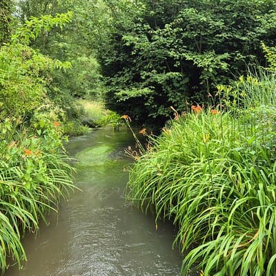 Private Tour in Giverny with Transport from Paris 5