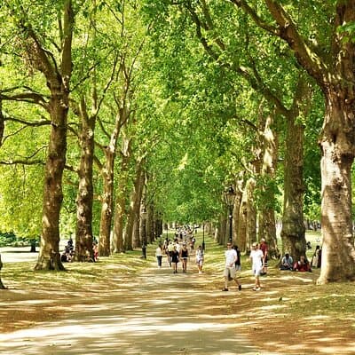 London in a Day Walking Tour from the Tower to Kensington 2
