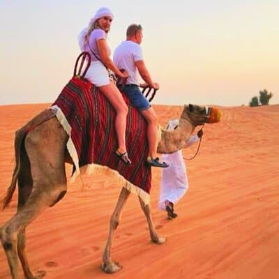 Dubai Desert Safari Experience BBQ Dinner,Camel Ride, Quad Biking 2