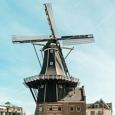 Haarlem Private Day Trip from Amsterdam with Local 4