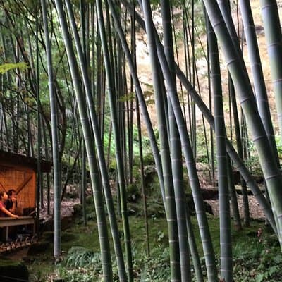 Kamakura Walking Tour with Local Guide Including Hokokuji Temple 2