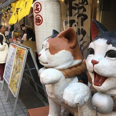 Private Home Visit Style Tour in Yanaka with Local Experience