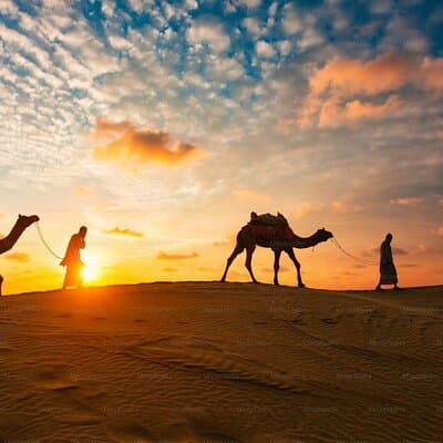 VIP Dubai Desert Safari, Camel ride Live shows and BBQ Dinner 2