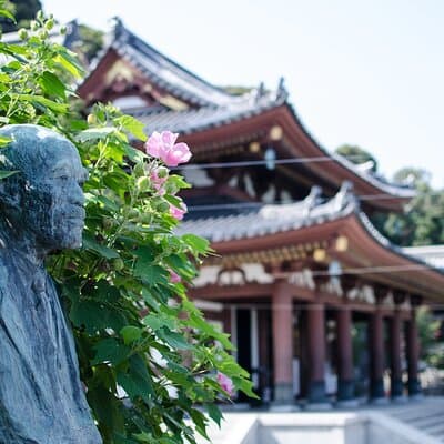 From Tokyo Kamakura and Enoshima Private Day Tour 3