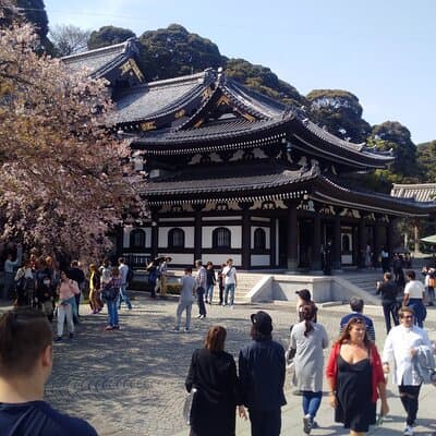 From Tokyo Kamakura and Enoshima Private Day Tour 5