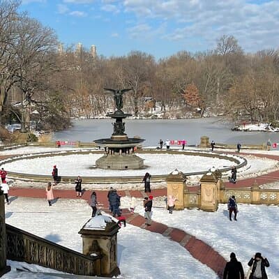 NYC Empire State Horses Carriage Ride in Central Park(55 Mins) 4
