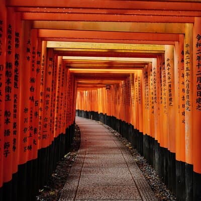 Kyoto Early Bird Tour Tokyo Round or One Way Shinkansen