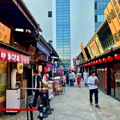 Fish Market & Tokyo Skyline Private Walking Tour 5