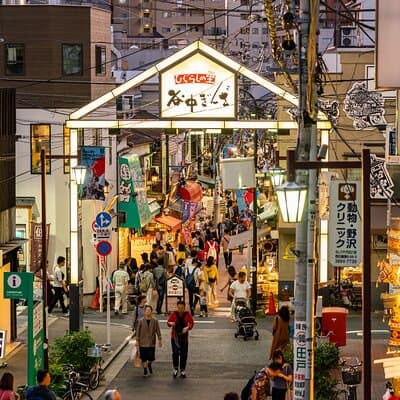 Tokyo: Yanaka & Nezu Old Town Heritage Walk 2