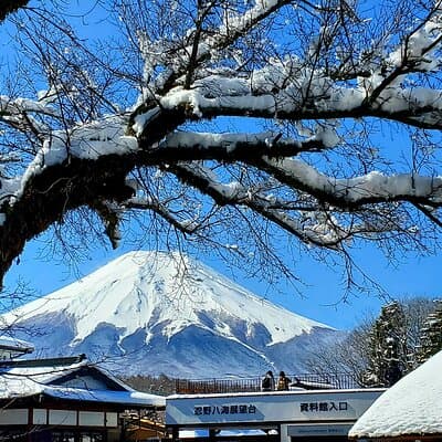 2 Days Tokyo ,Mount Fuji / Hakone Private Tour from Tokyo 2