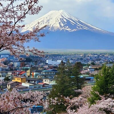 3 Days Tokyo, Mt. Fuji and Hakone Private Tour from Tokyo 3