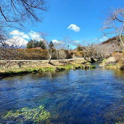 2 Days Tokyo ,Mount Fuji / Hakone Private Tour from Tokyo 5