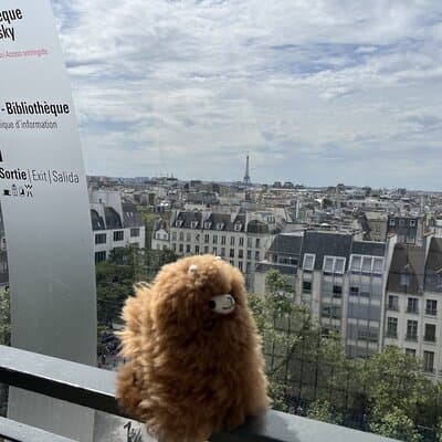 Centre Pompidou: Museum Ticket Entry& 3h Private Guided Tour