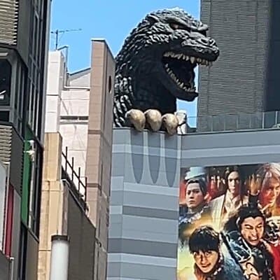 Customizable Private Tokyo Trip with an English Speaking Driver 2