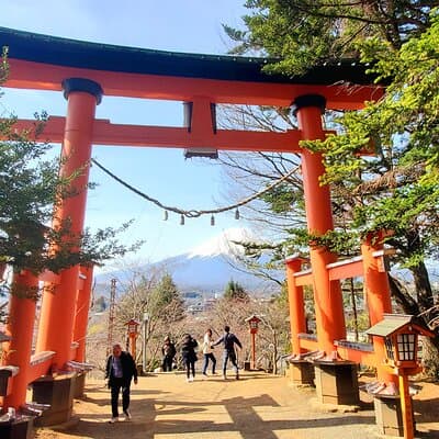 2 Days Tokyo ,Mount Fuji / Hakone Private Tour from Tokyo 3