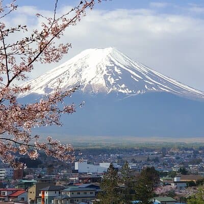 2 Days Tokyo ,Mount Fuji / Hakone Private Tour from Tokyo