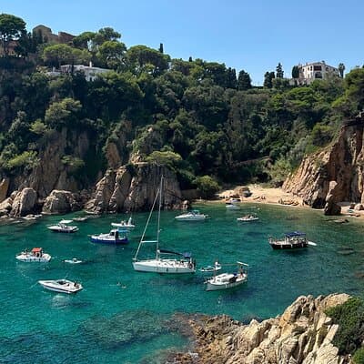 Private Tour in Marimurtra Garden and Blanes City 3
