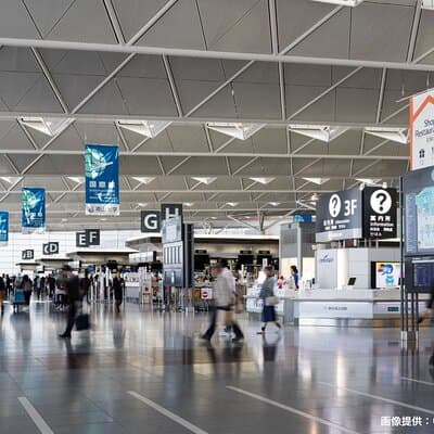 Pick Up Service Between Tokyo City and Tokyo Airport (HND/NRT) 2