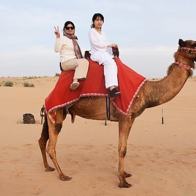 Guided Tour at Starlit Desert with Transportation 2