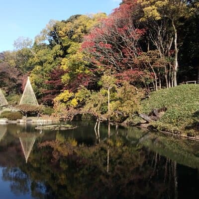 Private Tour of Tokyo with a French-Speaking Guide 3