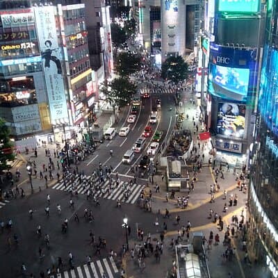 Private Tour of Tokyo with a French-Speaking Guide 4