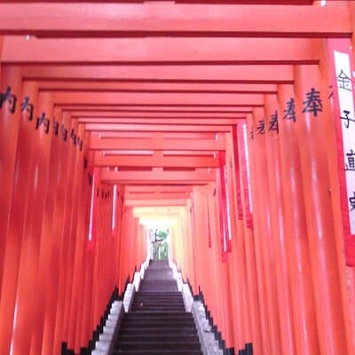 Private Tour of Tokyo with a French-Speaking Guide 5