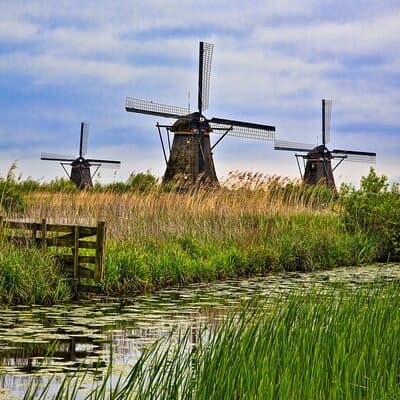 Private Rotterdam and Kinderdijk Day Trip from Amsterdam 4