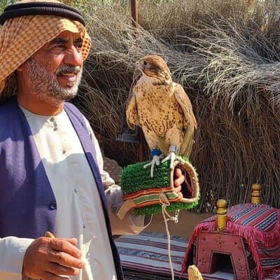 Dubai Layover Stopover and Transit Tour - Private & Customizable 2