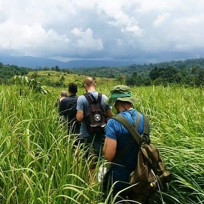 Bangkok: Khao Yai Nature Trails & Heaw Suwat Waterfall