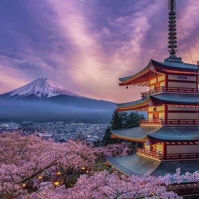 Mt.Fuji and Hakone Private SightSeeing Day Tour With Guide
