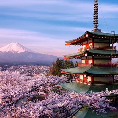 Mt.Fuji Private SightSeeing Day Tour With Guide (From Tokyo)