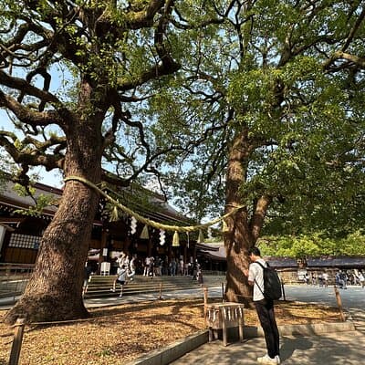 Sacred Morning Walk and Brunch Meiji Shrine