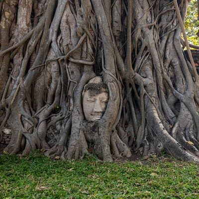 Bangkok: Ayutthaya, Floating Market & Railway Market - Full Day 5