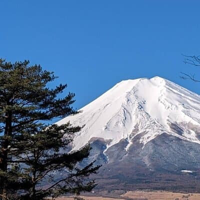 Mt. Fuji Private Car Tour from Tokyo 4
