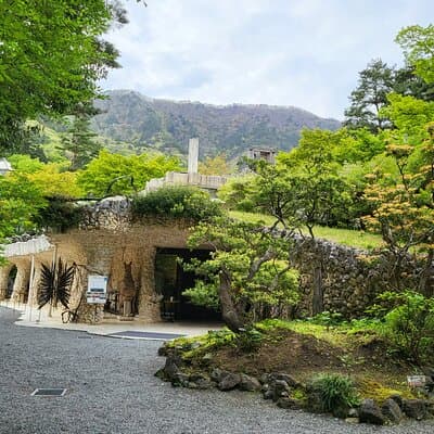 Mt. Fuji Private Car Tour from Tokyo 5