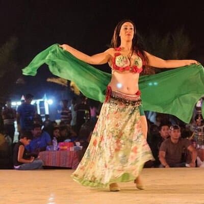 Dubai VIP Desert Safari with Pick/Drop, Camel Ride, Dinner & Show 5