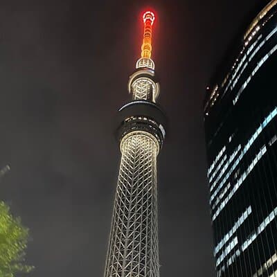 Tokyo Night Tour with English Speaking Guide 4