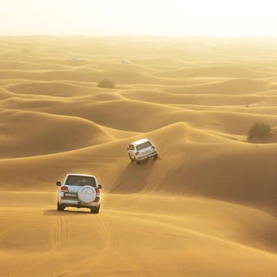 Desert Safari Adventure Hotel Transfer Camel Ride with Quadbike