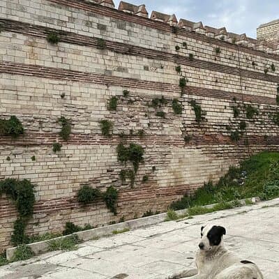 Byzantion Walk Path and City Walls of Istanbul 5